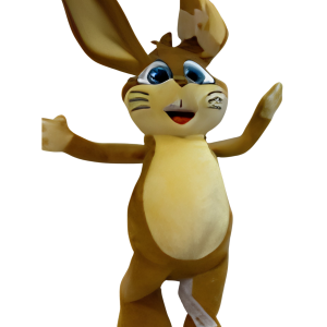 Koos aankleed knuffel