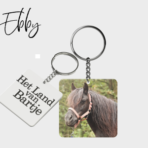 Ebby sleutelhanger