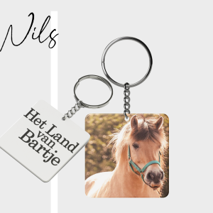 Nils sleutelhanger