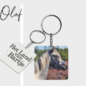 Olaf sleutelhanger
