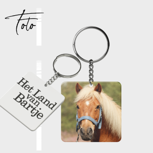 Toto sleutelhanger
