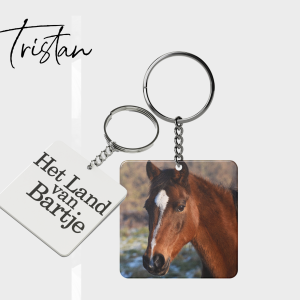 Tristan sleutelhanger