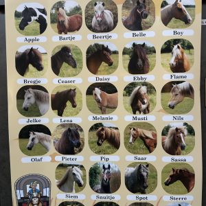 Poster van alle pony's